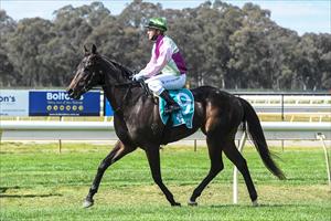 Mornington Glory - Bendigo, Septemeber 2021 Mornington Glory - Bendigo, Septemeber 2021